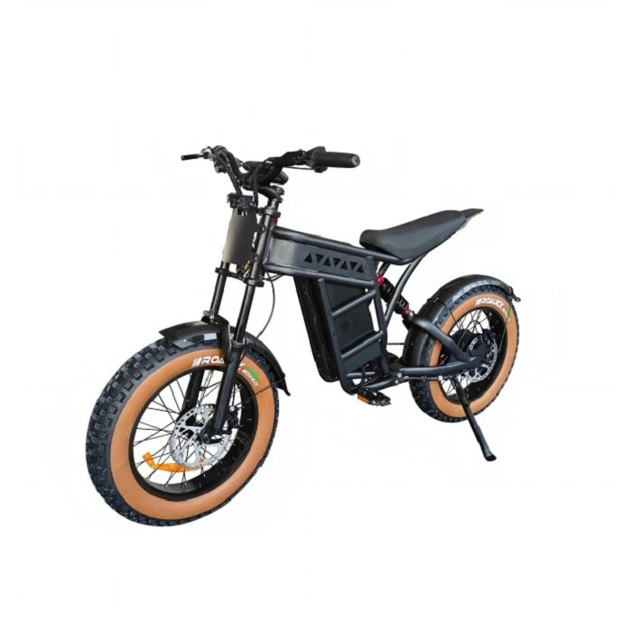 Electric Sports Motorbike