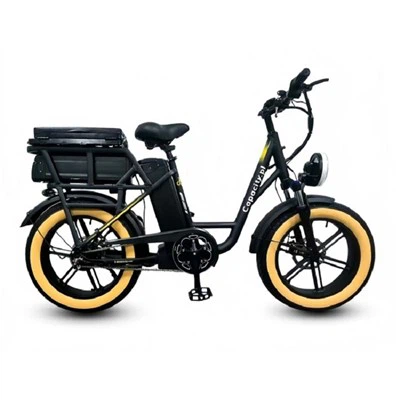 48V 26Ah estilo ciclomotor de bateria dupla Ebike