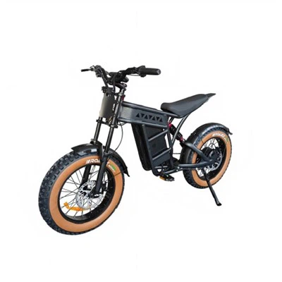 Motocicleta Elétrica Dual Sport